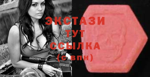 индика Володарск