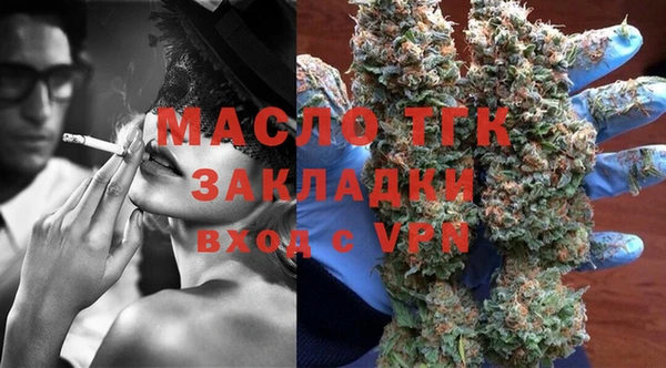 индика Володарск