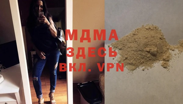индика Володарск