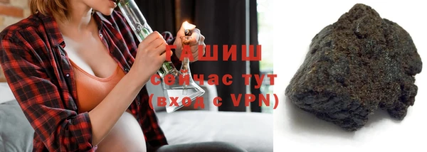 индика Володарск