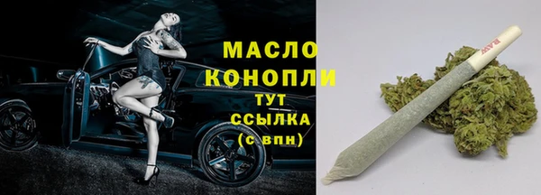 индика Володарск