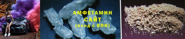 индика Володарск