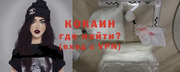 индика Володарск