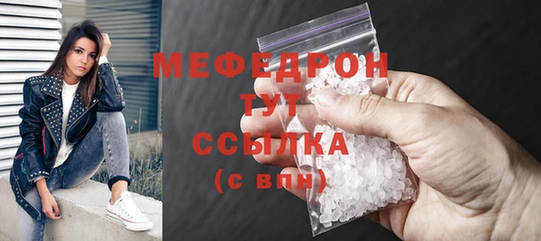 индика Володарск
