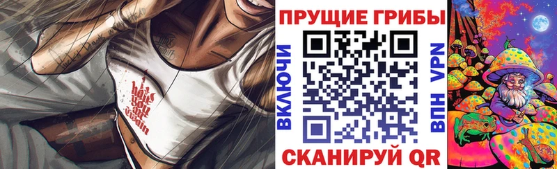 хочу   Волчанск  Псилоцибиновые грибы MAGIC MUSHROOMS 